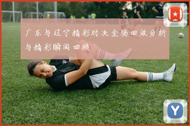 广东与辽宁精彩对决全场回放分析与精彩瞬间回顾