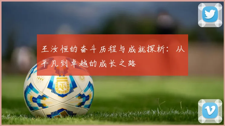 王汝恒的奋斗历程与成就探析：从平凡到卓越的成长之路