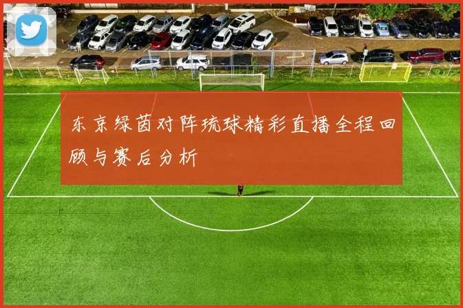 东京绿茵对阵琉球精彩直播全程回顾与赛后分析