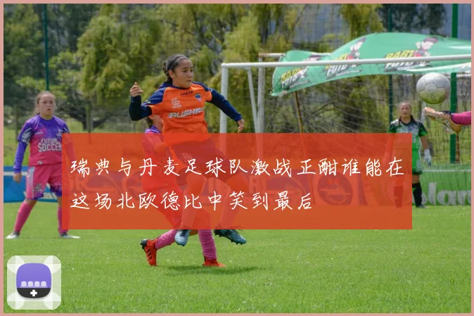 瑞典与丹麦足球队激战正酣谁能在这场北欧德比中笑到最后