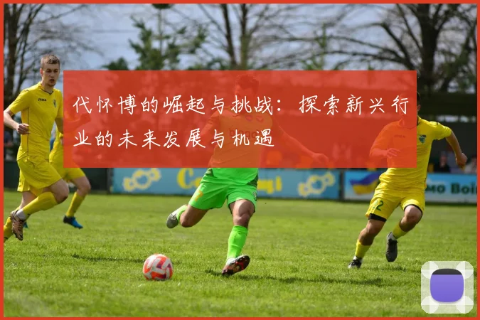 代怀博的崛起与挑战：探索新兴行业的未来发展与机遇