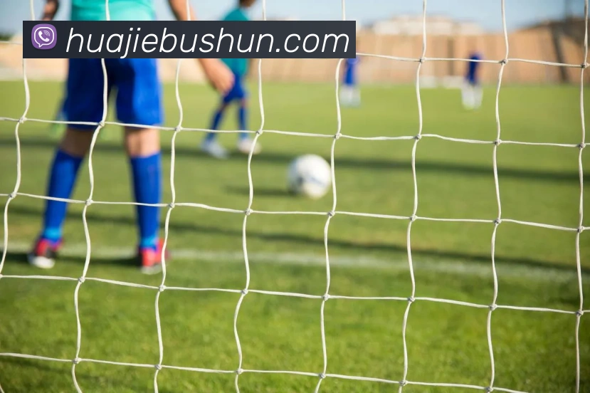 ky开元平台生态图